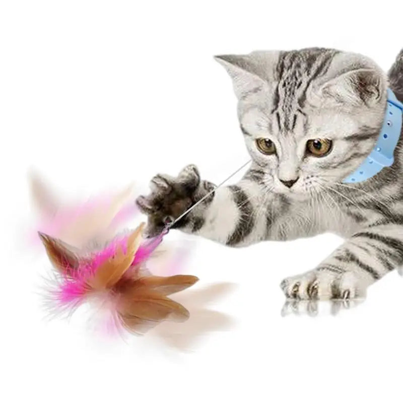 Funny Cat Stick Retractable Feather Toy