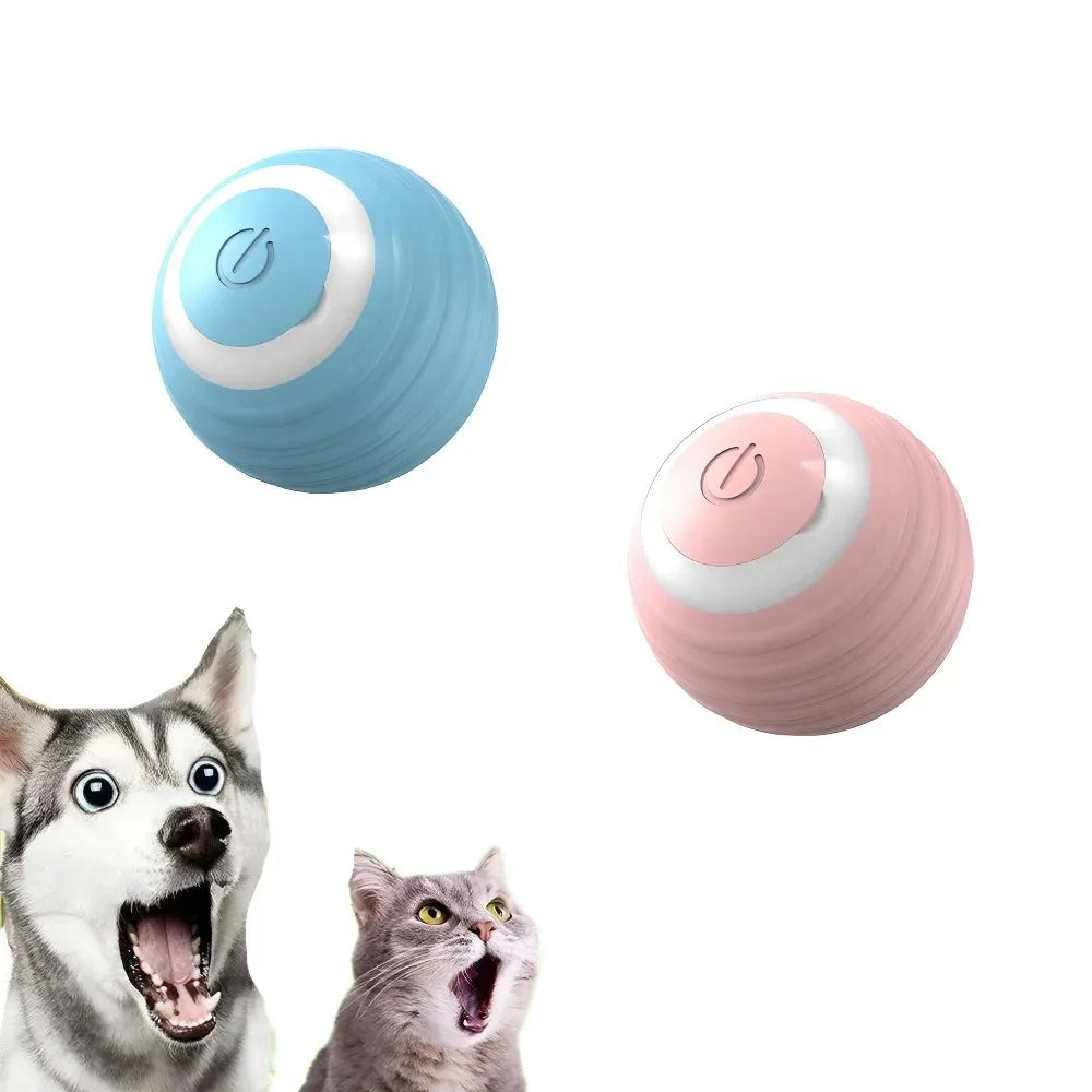 Cat Interactive Indoor Automatic Rolling Magic Ball