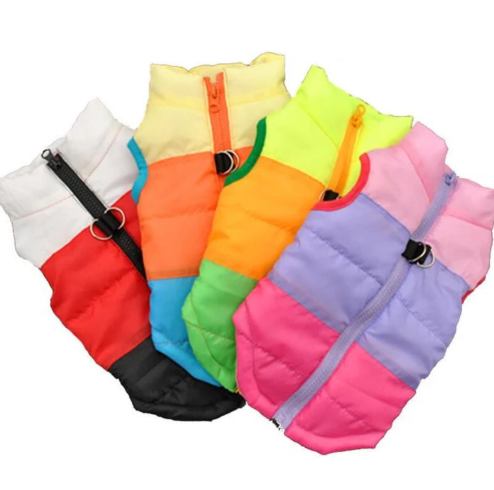 Winter Clothing Cotton-Padded Jacket Waistcoat Out Pull Buckle Pet, luxury Dog clothes