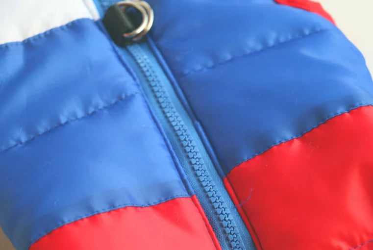 Winter Clothing Cotton-Padded Jacket Waistcoat Out Pull Buckle Pet, luxury Dog clothes