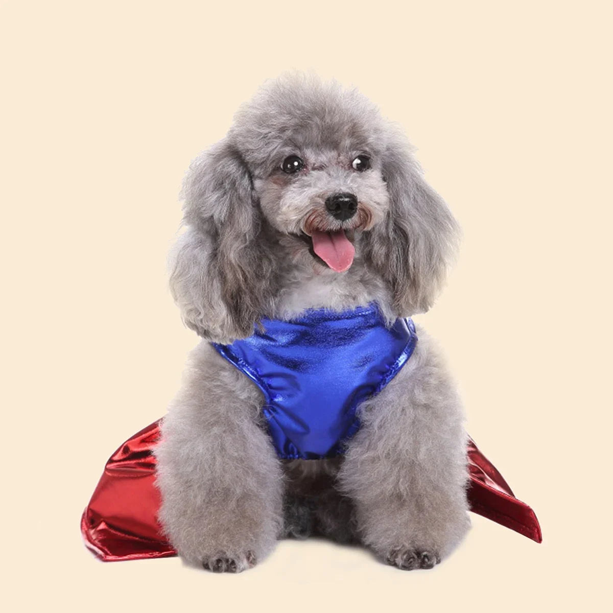 Halloween Pet Dress-Up Outfits