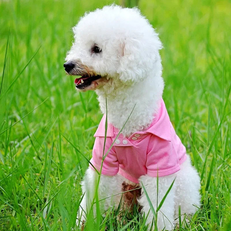 Luxury Dog Polo Shirt