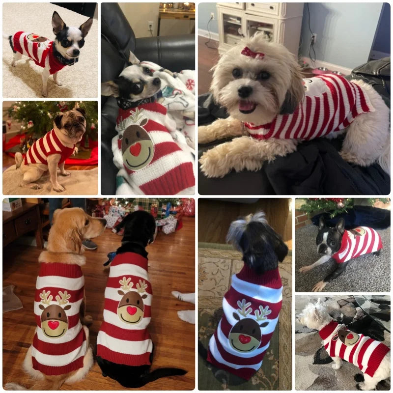 Winter Pet Sweaters for Small/Medium Dogs, Christmas Cute Print Puppy Turtleneck, Soft Warm Cat Sweater