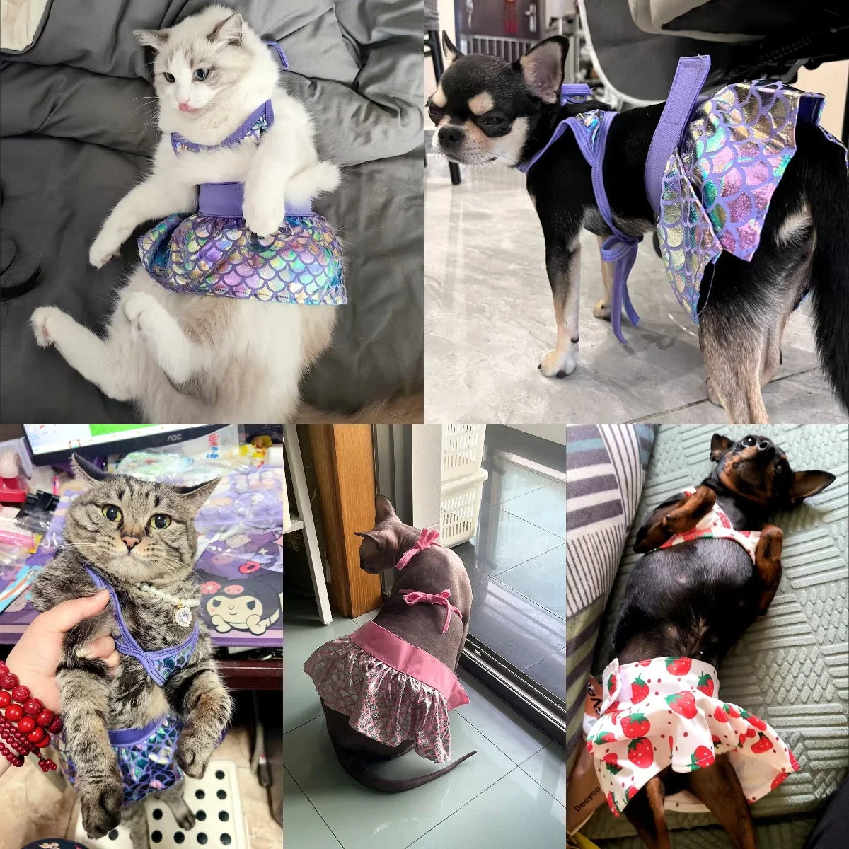 Cute Dog Cat Summer Bikini Swim Suits