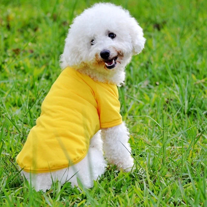 Luxury Dog Polo Shirt