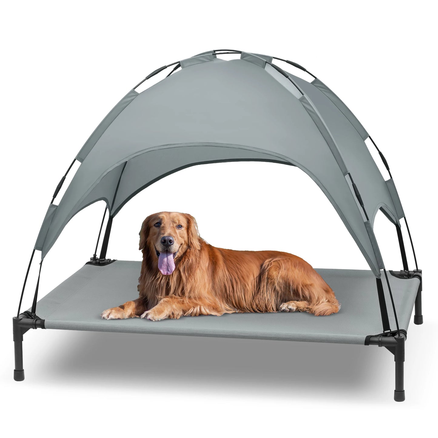 Elevated Dog Bed with Canopy