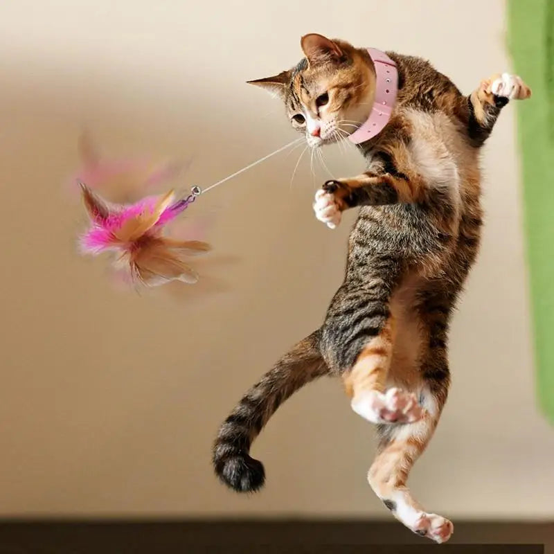 Funny Cat Stick Retractable Feather Toy