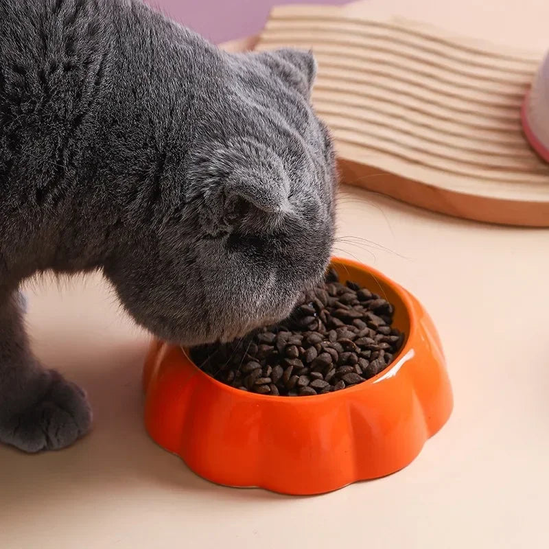 4 cute designs pet ceramics bowls