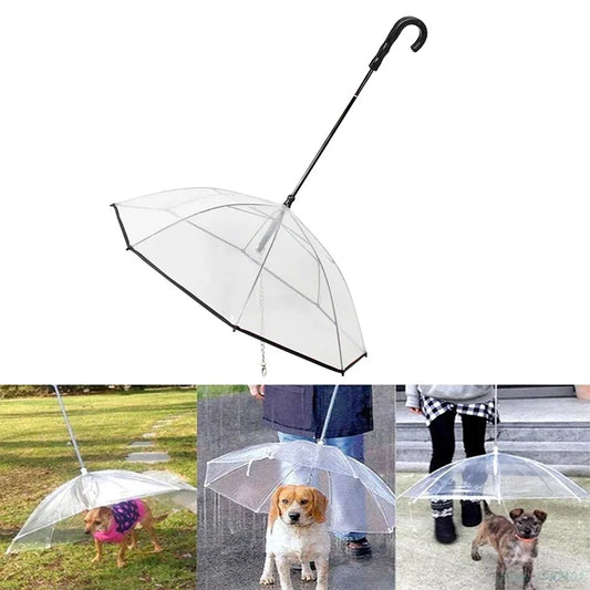 New Transparent Pet Umbrellas Small Dog w/Leash