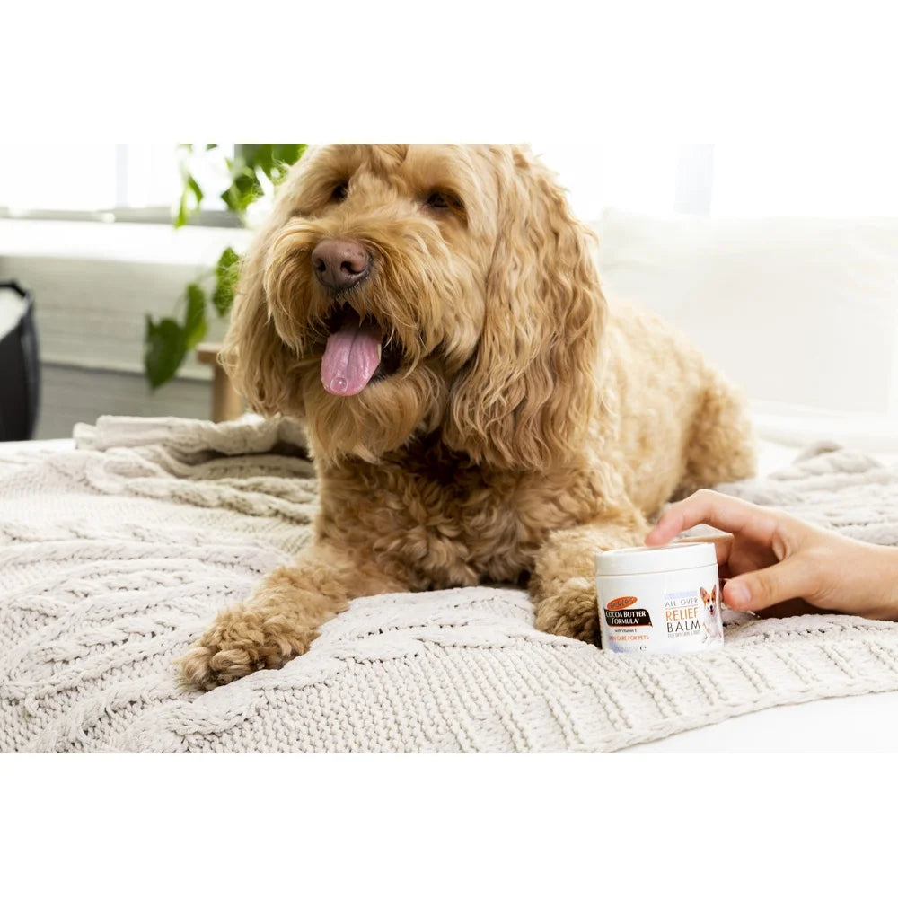 Cocoa Butter Dog Paw Balm Natural Ingredients