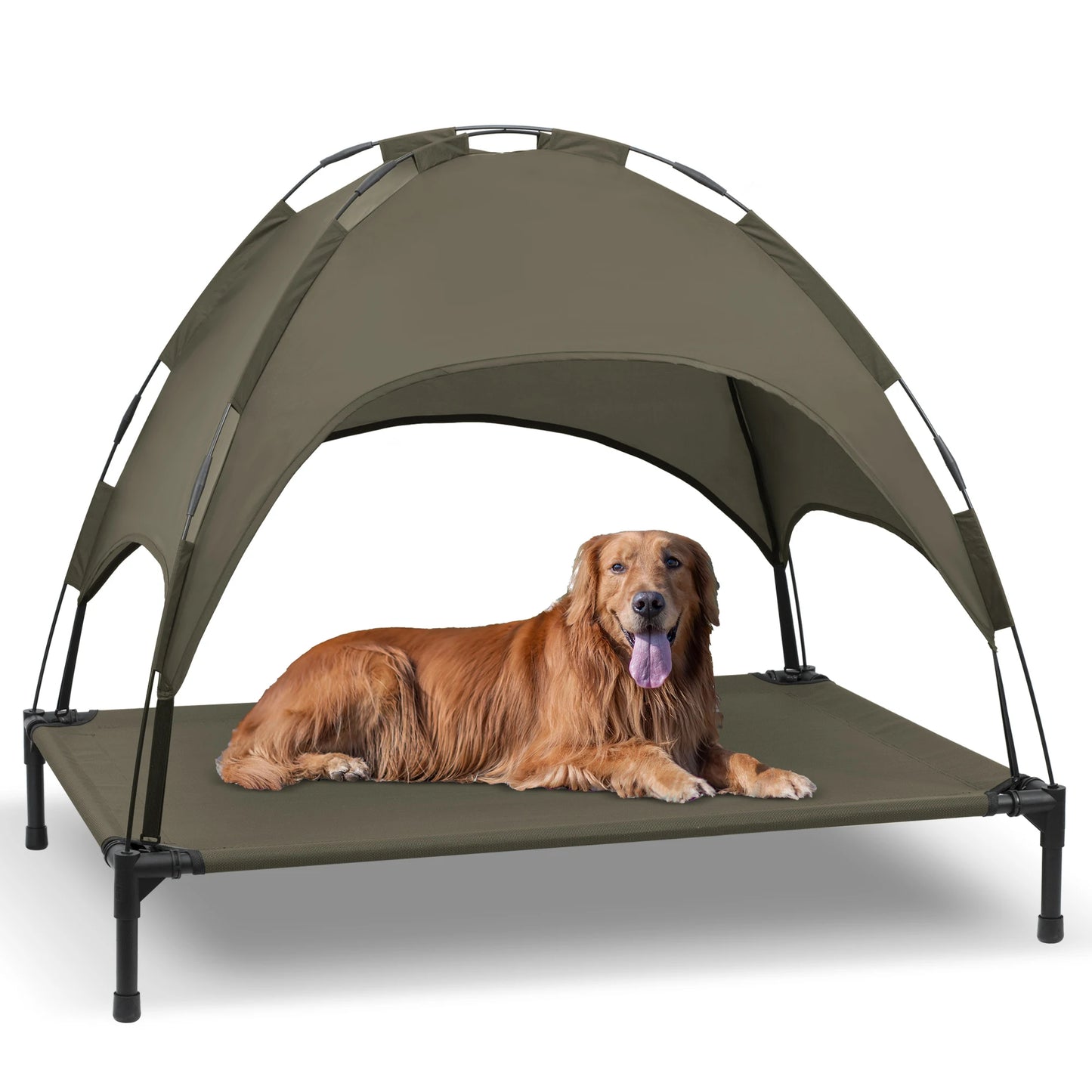 Elevated Dog Bed with Canopy