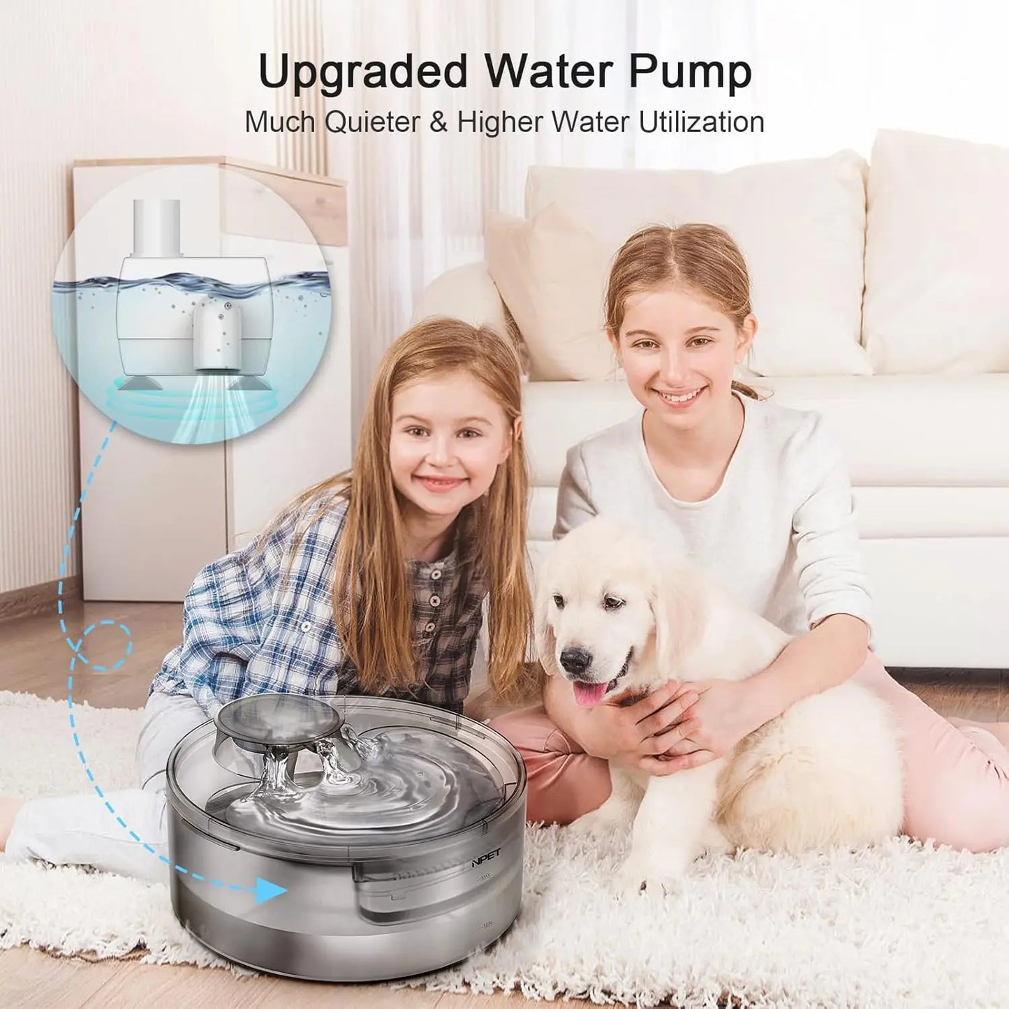 Dog Water Fountain