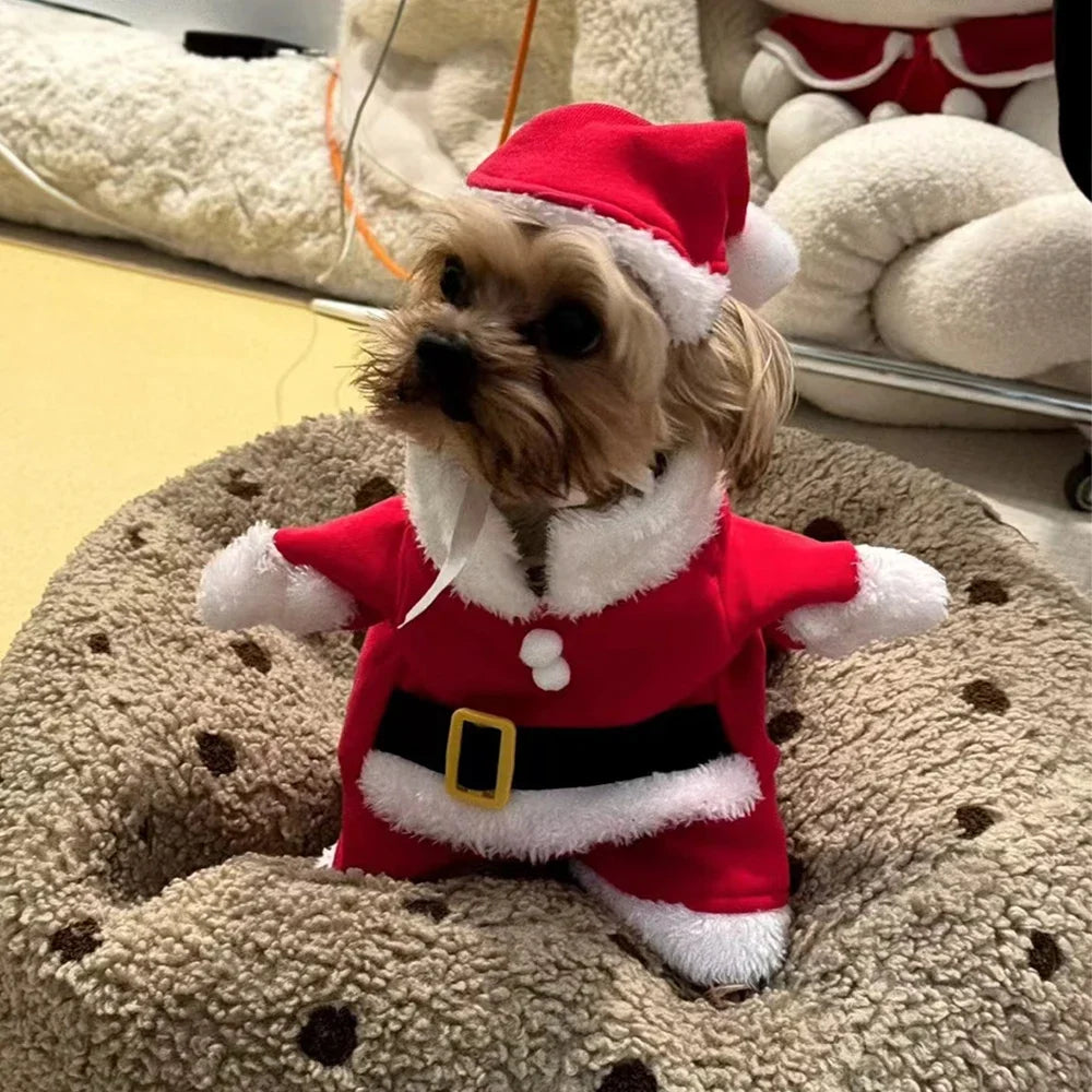 Christmas Clothes for Pets