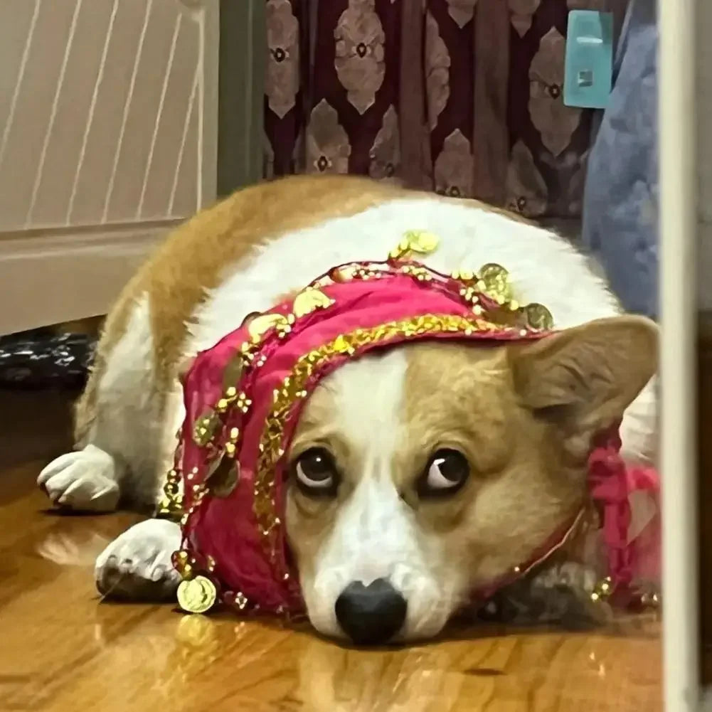 Dog Booty Shaker Dance Hip Wrap