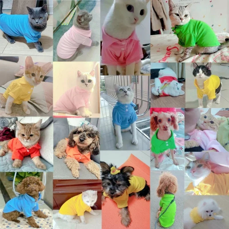 Luxury Dog Polo Shirt
