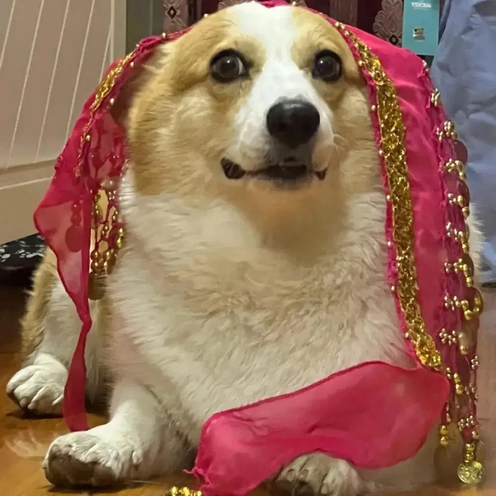 Dog Booty Shaker Dance Hip Wrap