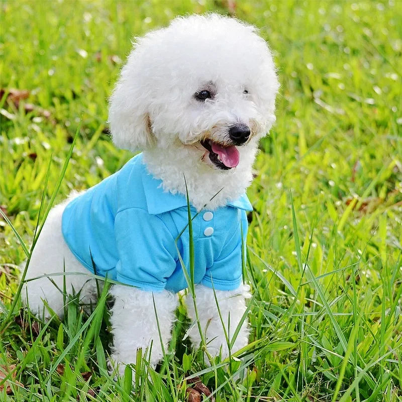 Luxury Dog Polo Shirt