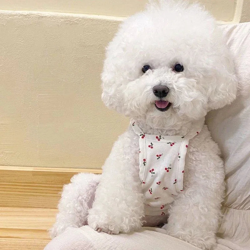 Cute Summer Fresh Cherry Dog Dress