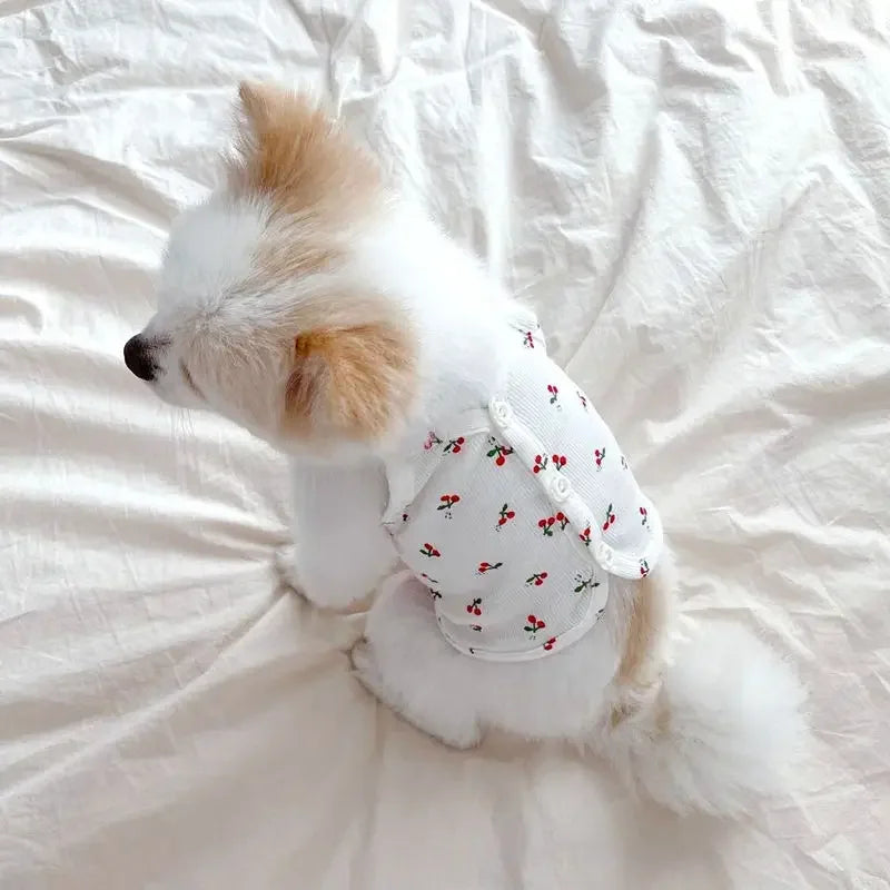 Cute Summer Fresh Cherry Dog Dress