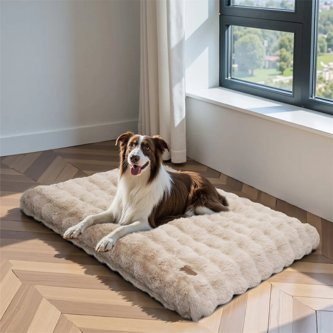 Ultra-soft Dog/Cat Cozy Sleep Calming Bed ,Cover Machine Washable