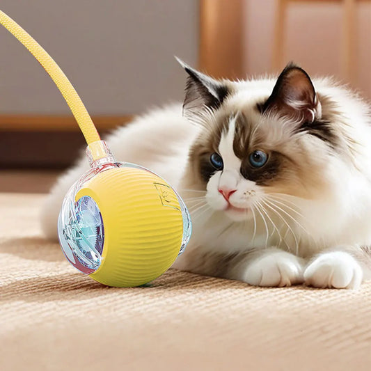 Interactive USB Cat Toy Ball