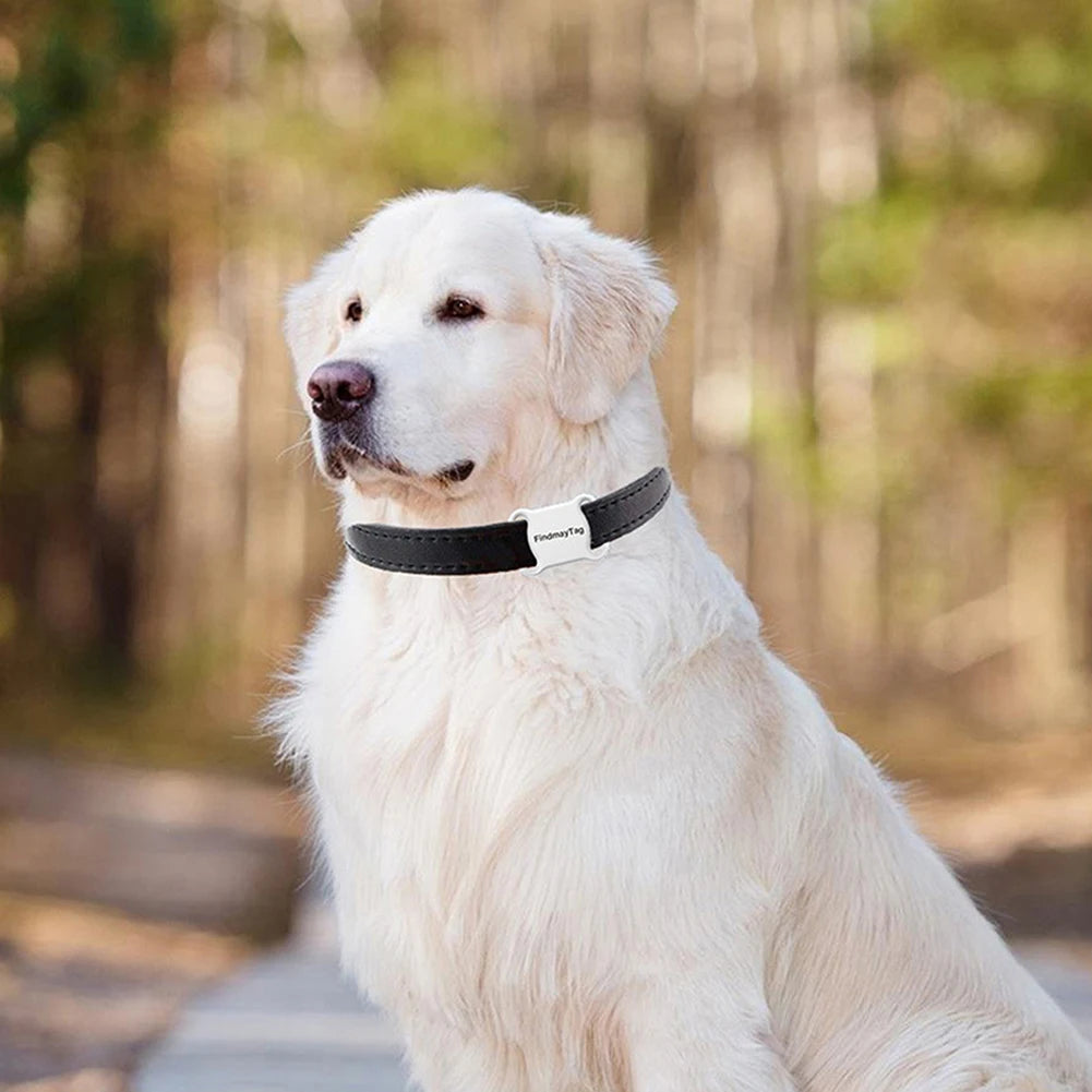 Mini Pet GPS Locator Tracker Colllar