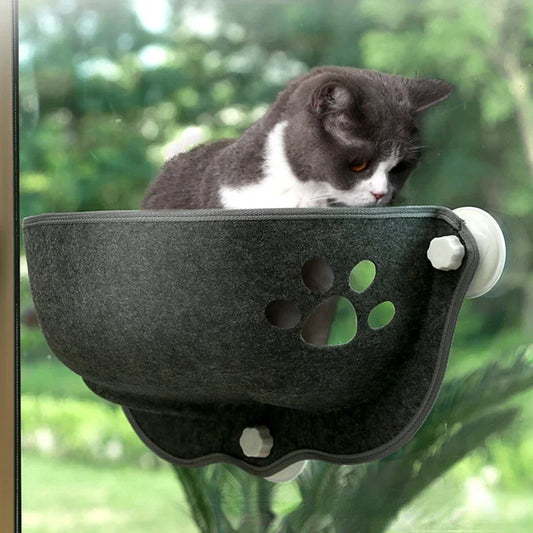 Sunny Window Hammock with Cushion