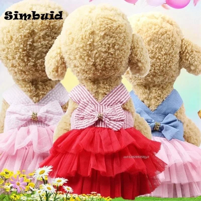 Summer Princess Cat Lace Stripe Skirt Slip Dress