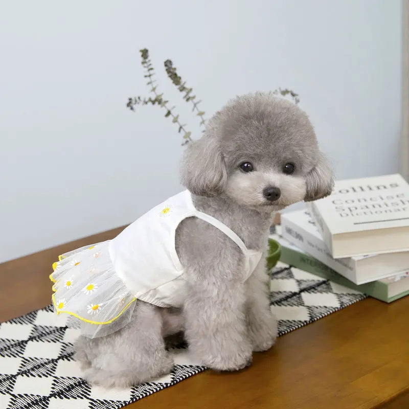 Cute Pet Small Dog Dress