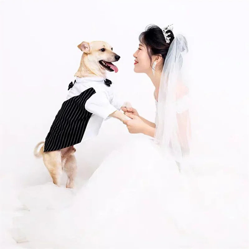 Dog Shirt Tuxedo w/ Bow Tie