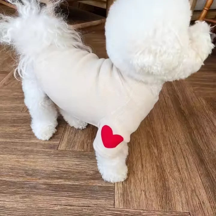 Autumn Winter  Love Sweaters