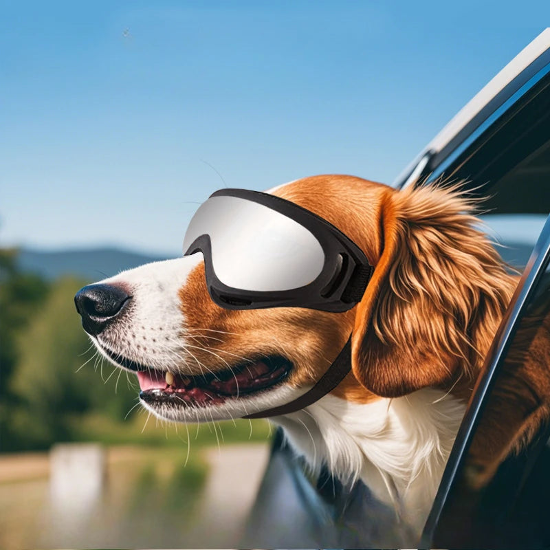 Dog Glasses Outdoor Pet Goggles
