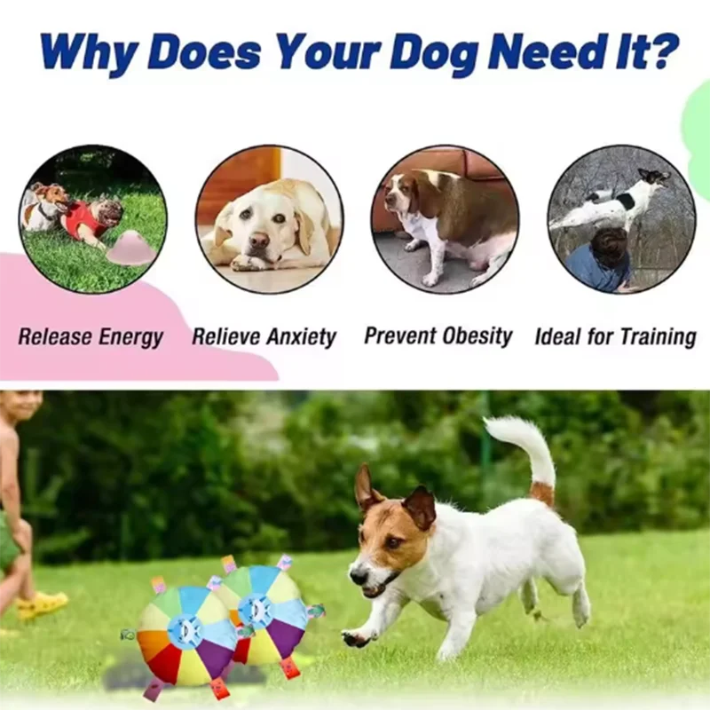 Hot dog sounding plush toy bell cartoon toy, small dog Teddy teeth grinding toy, wear-resistant bite-resistant