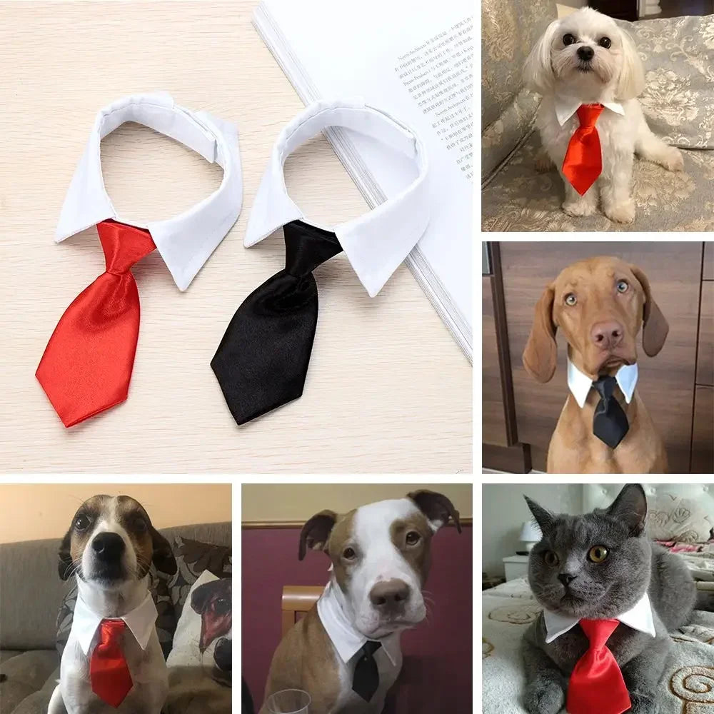 Pet Dog Cat Formal Necktie Tuxedo Black and Red Bow Tie Collar for  Wedding, Holiday and Party Gift