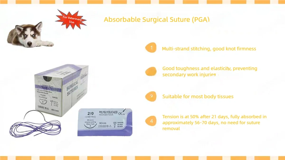 Veterinary absorbable suture, surgical pet suture PGA (2-0/3-0/4-0) w/Needles
