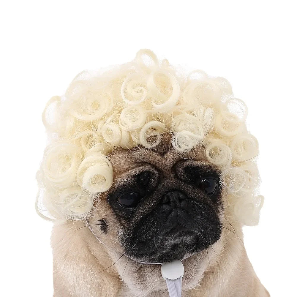 Pet Wigs  Halloween, Curly Hair &  Straight Hair