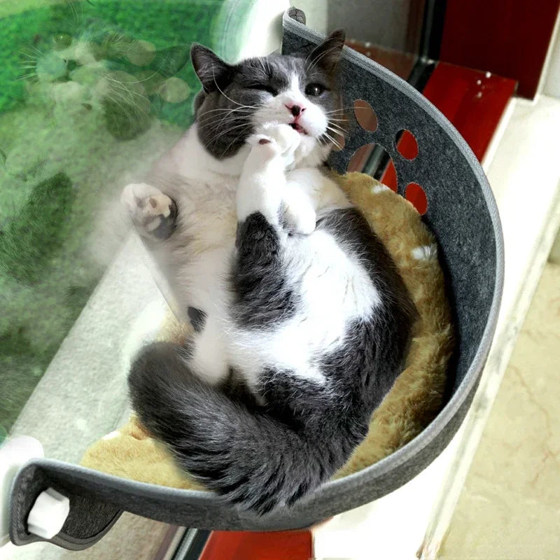Sunny Window Hammock with Cushion