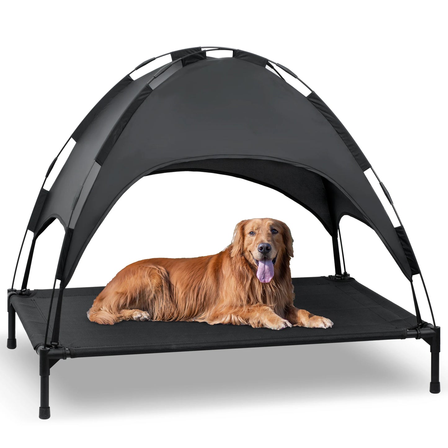 Elevated Dog Bed with Canopy