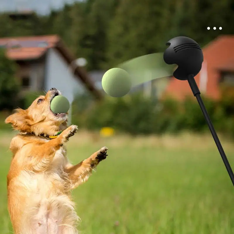 Dog Toys Throwing Pole Tennis Ball Launcher