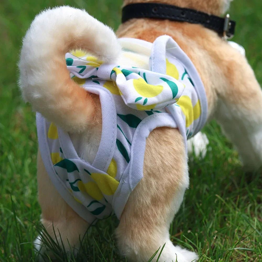 Washable Dog Diapers