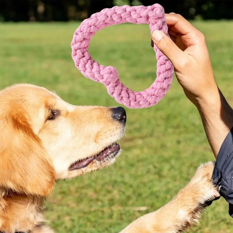 Small Cotton Rope Heart Shaped Chew Toy